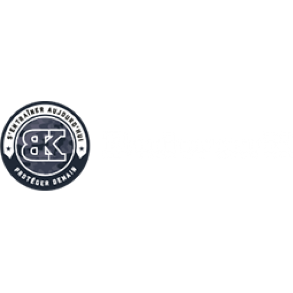 Bulwark Formation 